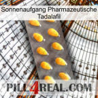 Sunrise Pharmaceutical Tadalafil cialis1